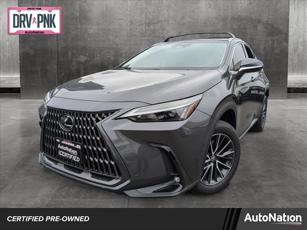 2024 Lexus NX