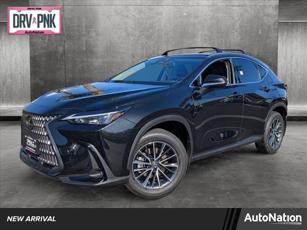 2024 Lexus NX